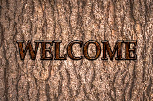 welcome_holzdesign IV
